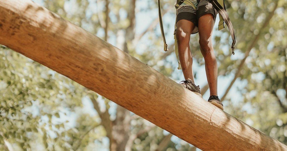 Adult On Challenge Ropes Course Ropes Course Builder: How to Choose the Right Company | Challenge Designs