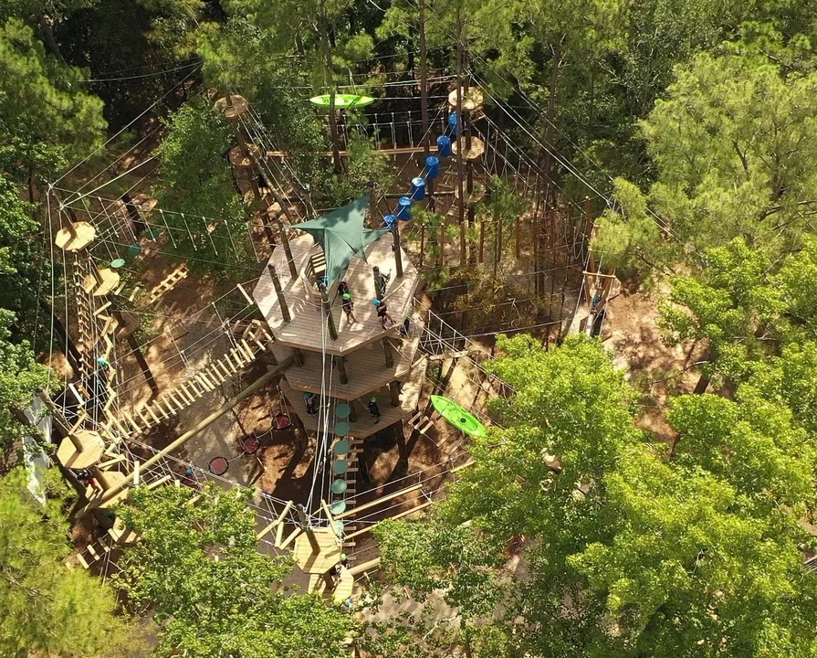Woodlands-Aerial-Adventure-Park3.jpg