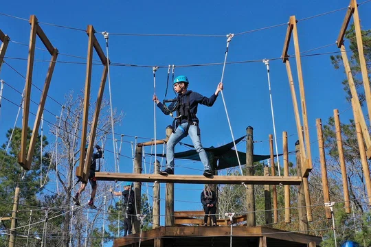Texas-Treeventures.jpg
