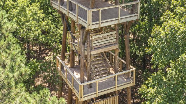 Aerial-View-of-Standing-Boy-Observation-Tower.jpg