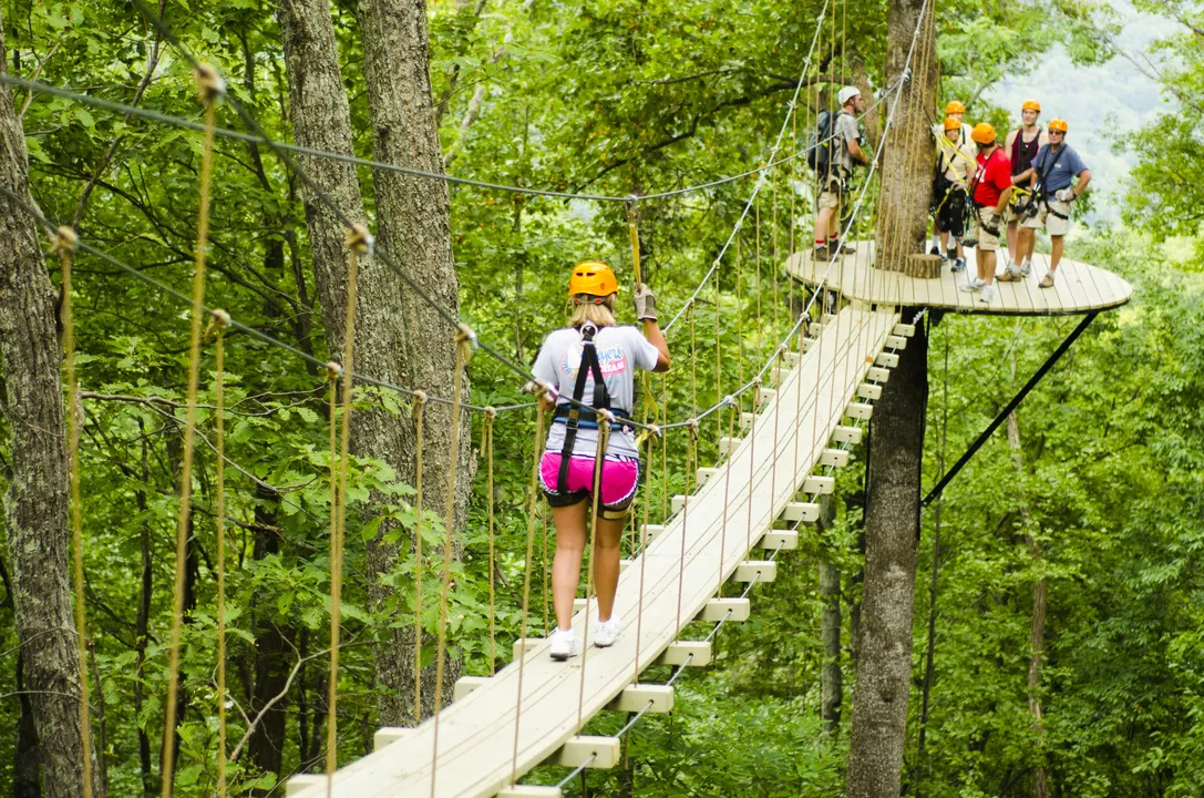 Zip - Gorge (6)