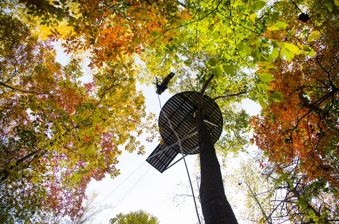 The-Gorge-Zipline-Platform.jpg