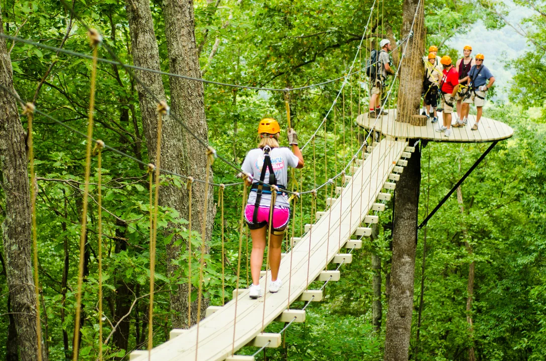 The-Gorge-Zipline-Sky-Bridge.jpg