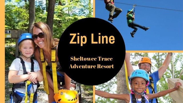 sheltowee-trace-adventure-resort-zip-line-kentucky.jpg
